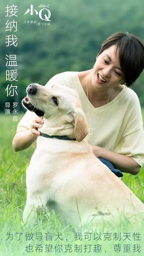 上海浦东发展银行支票样本资料